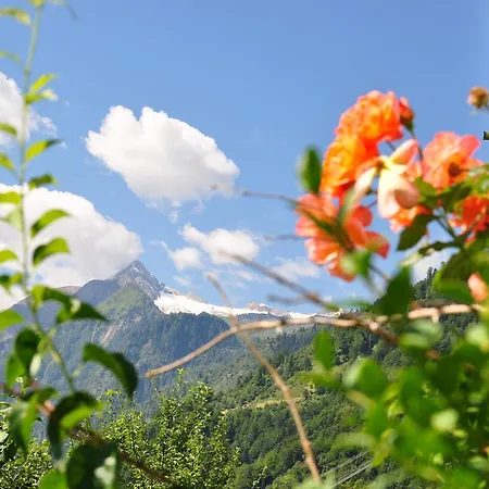 Appartamento Obernosterer - Grossglockner