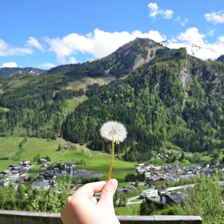 Obernosterer - Grossglockner Apartment