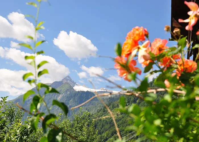 Apartman Obernosterer - Grossglockner